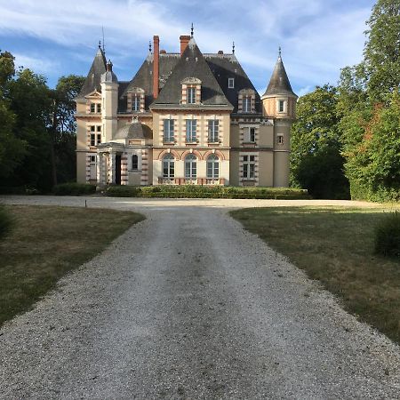 Chateau De Praslins Nogent-sur-Vernisson Eksteriør bilde