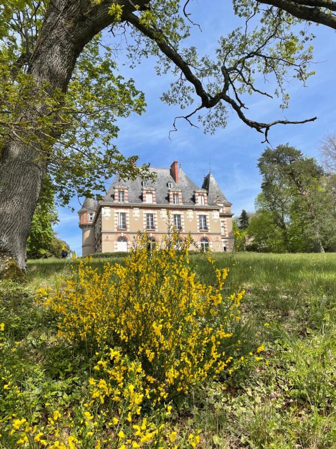 Chateau De Praslins Nogent-sur-Vernisson Eksteriør bilde