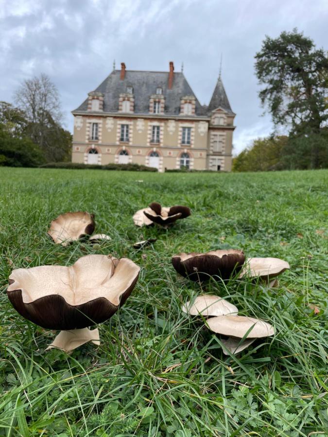 Chateau De Praslins Nogent-sur-Vernisson Eksteriør bilde